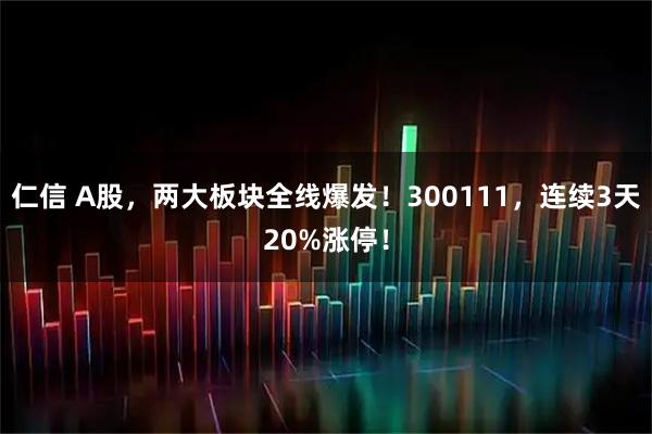 仁信 A股，两大板块全线爆发！300111，连续3天20%涨停！
