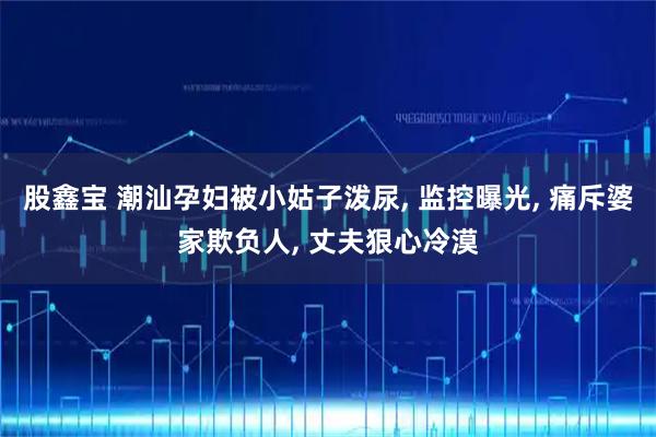 股鑫宝 潮汕孕妇被小姑子泼尿, 监控曝光, 痛斥婆家欺负人, 丈夫狠心冷漠