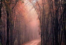 七倍杠杆:股票微信开户-人形机器人爆火！多家A股公司签下订单！